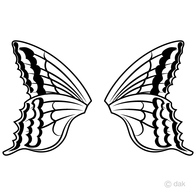 Detail Moth Wings Nomer 15