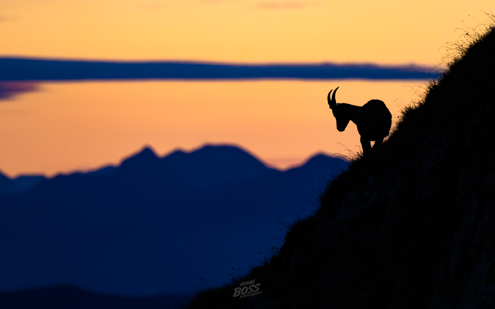 Detail Sonnenuntergang Mit Personen Fotografieren Nomer 8