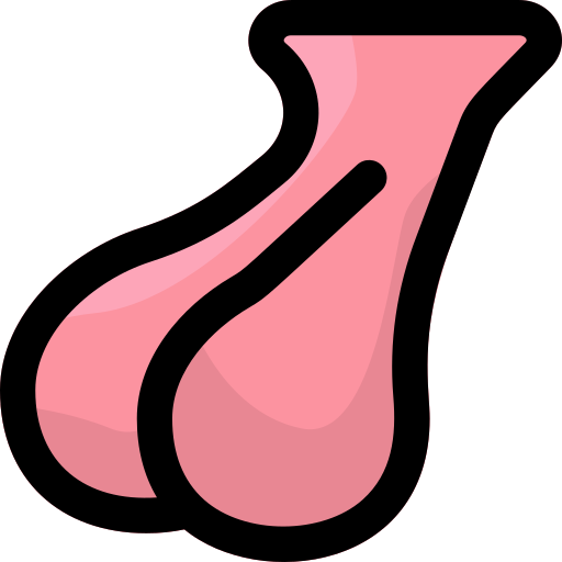 Detail Hypophyse Anatomie Nomer 8