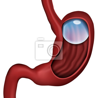 Detail Hypophyse Anatomie Nomer 5