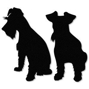 Kleiner Schnauzer Hund - KibrisPDR