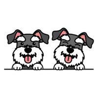 Detail Kleiner Schnauzer Hund Nomer 11