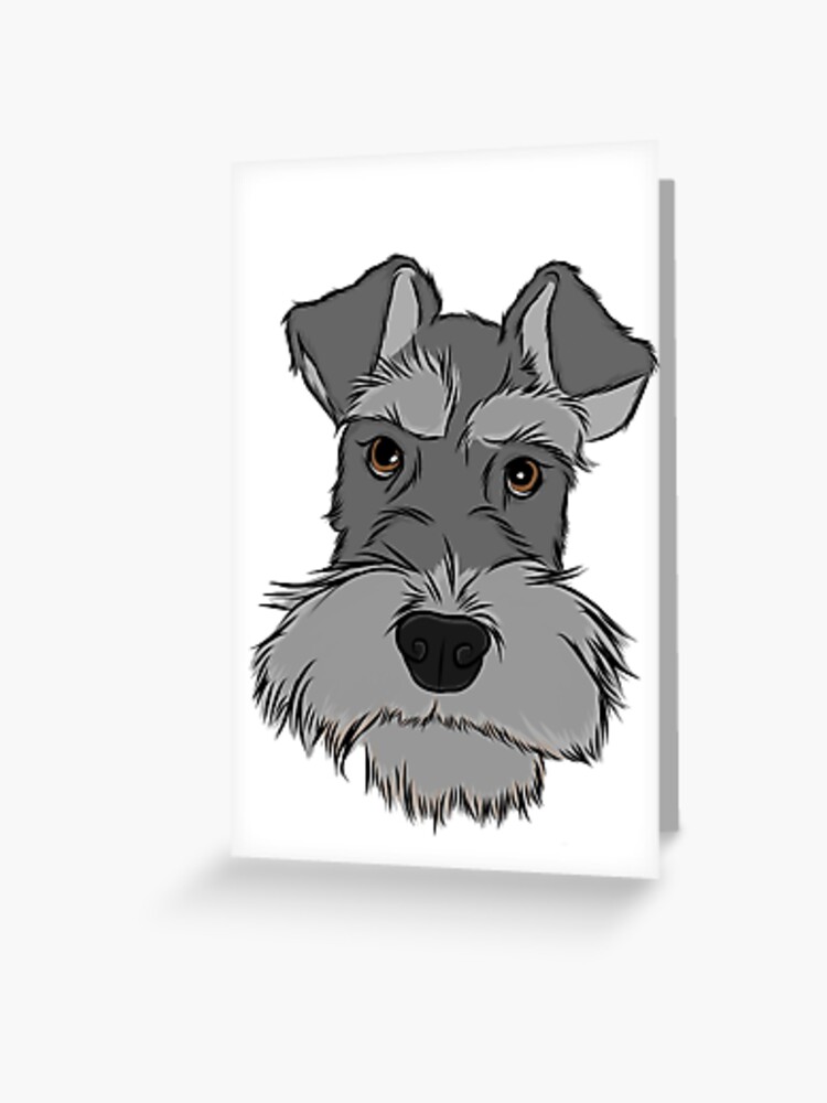Detail Kleiner Schnauzer Hund Nomer 14