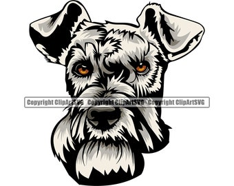 Detail Kleiner Schnauzer Hund Nomer 16