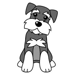 Detail Kleiner Schnauzer Hund Nomer 17