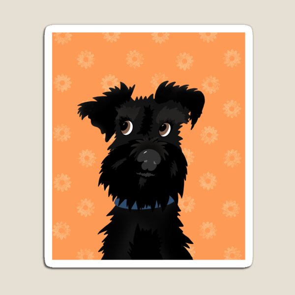 Detail Kleiner Schnauzer Hund Nomer 19