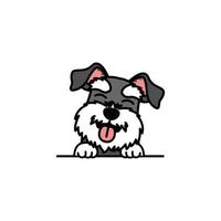 Detail Kleiner Schnauzer Hund Nomer 21