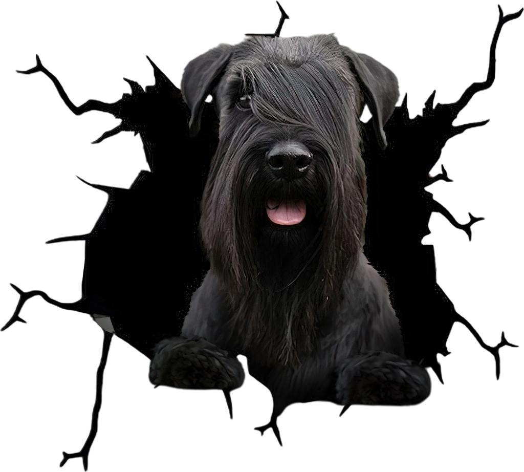 Detail Kleiner Schnauzer Hund Nomer 22