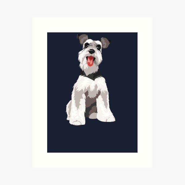 Detail Kleiner Schnauzer Hund Nomer 3