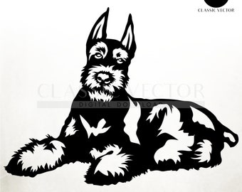 Detail Kleiner Schnauzer Hund Nomer 5