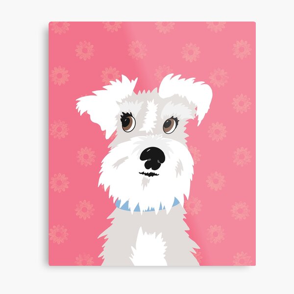 Detail Kleiner Schnauzer Hund Nomer 6
