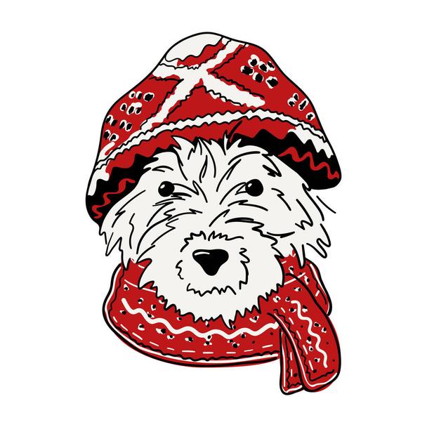 Detail Kleiner Schnauzer Hund Nomer 7