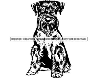 Detail Kleiner Schnauzer Hund Nomer 8