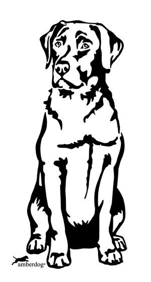 Detail Labrador Zeichnung Nomer 2