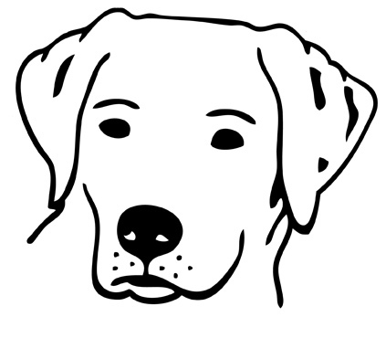 Detail Labrador Zeichnung Nomer 26