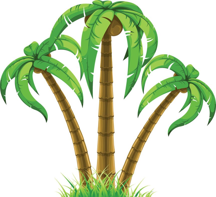 Detail Palme Clipart Nomer 13