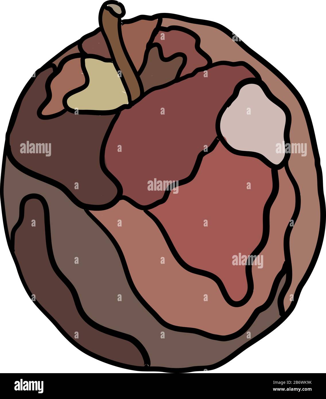 Detail Roastbeef Anatomie Nomer 21