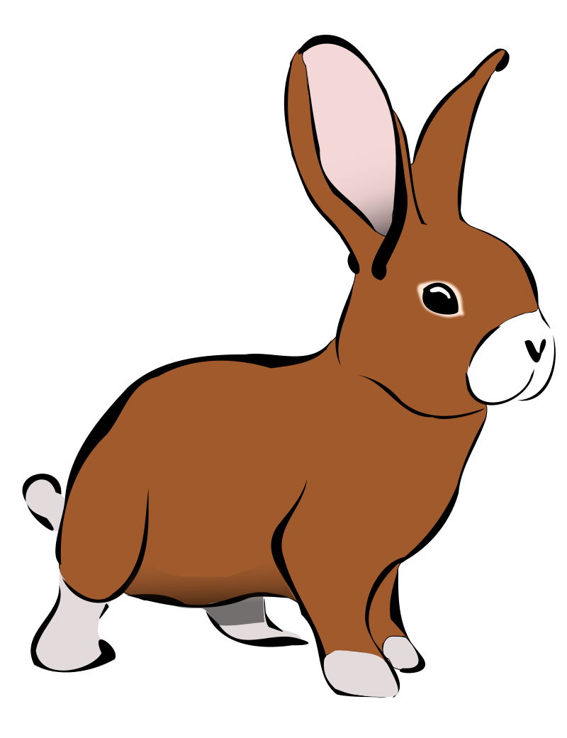 Detail Bunny Png Free Nomer 2