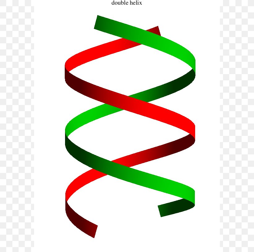 Detail Dna Helix Cartoon Nomer 15