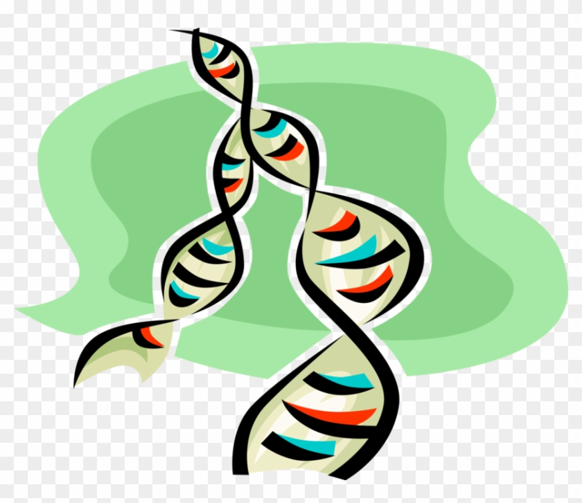 Detail Dna Helix Cartoon Nomer 4