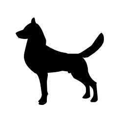 Detail Dog Placeholder Images Nomer 11