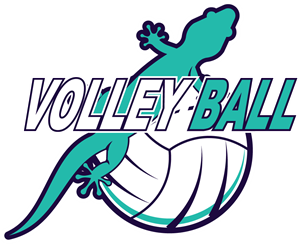 Detail Download Logo Volly Ball Nomer 40