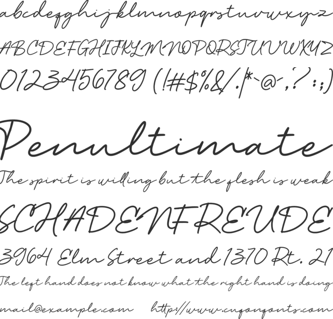 Detail Download Logo Wardah Nomer 40