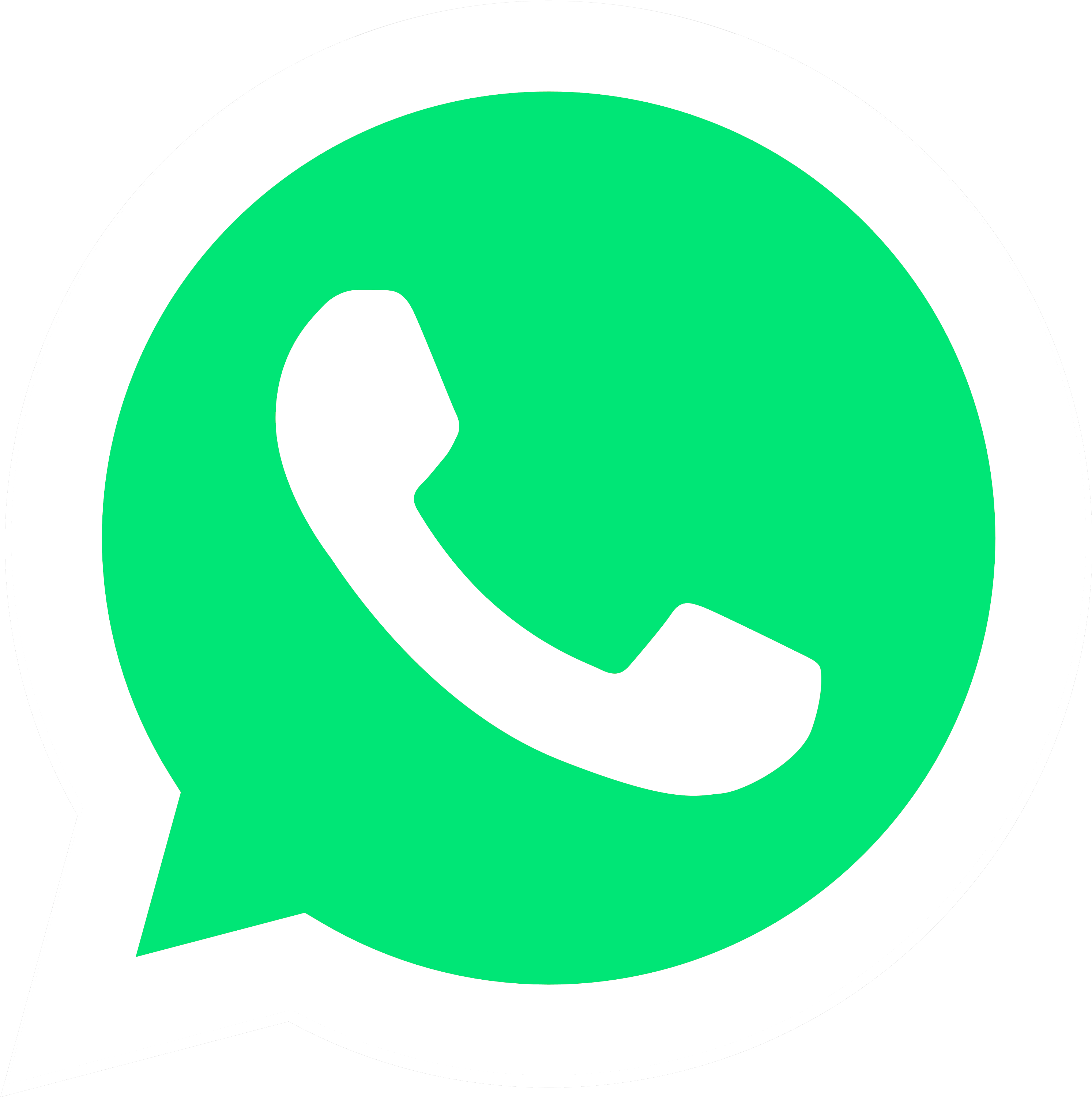 Detail Download Logo Whatsapp Png Nomer 12