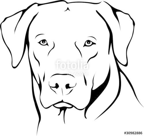 Detail Ein Hund Zeichnen Nomer 18