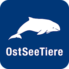 Detail Ostseebilder Kostenlos Nomer 17