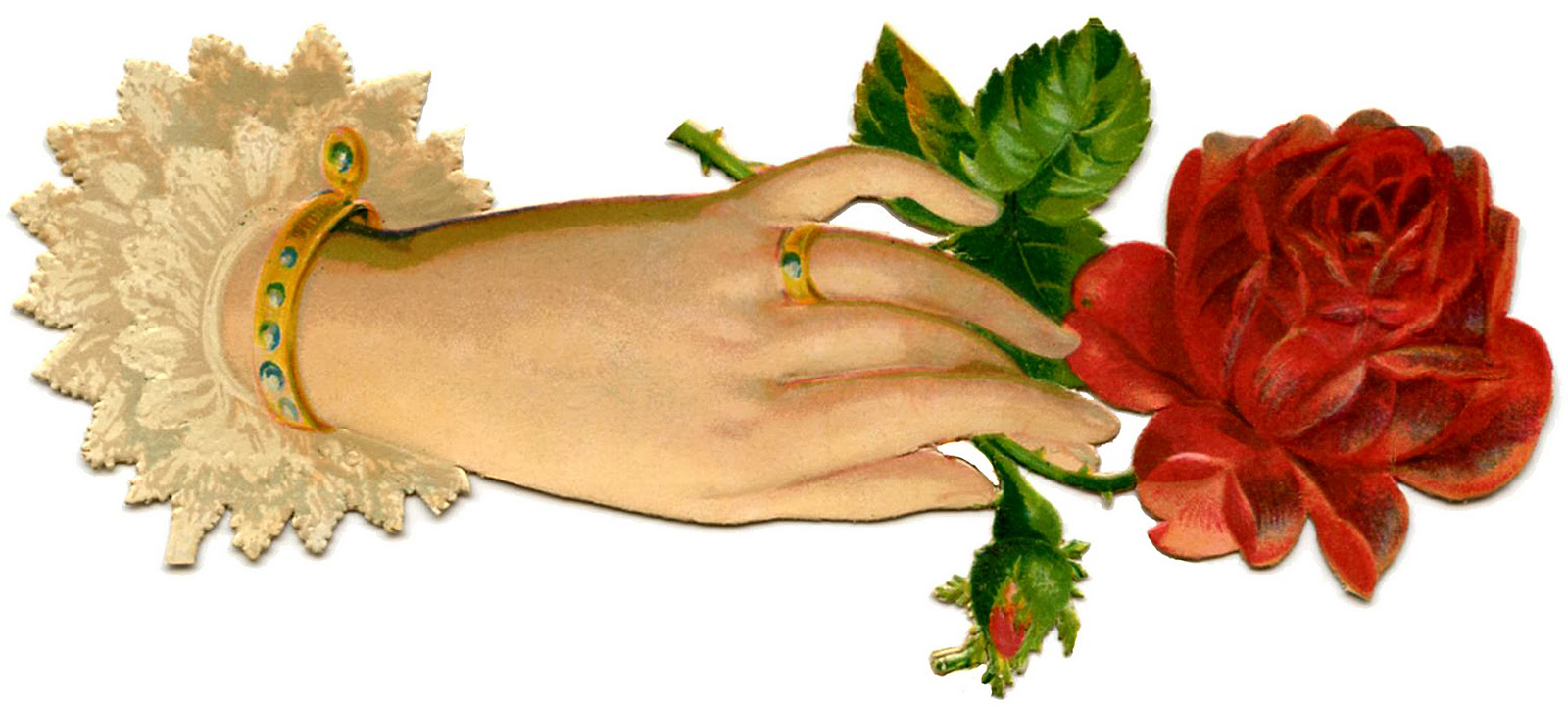 Detail Rose In Der Hand Nomer 6