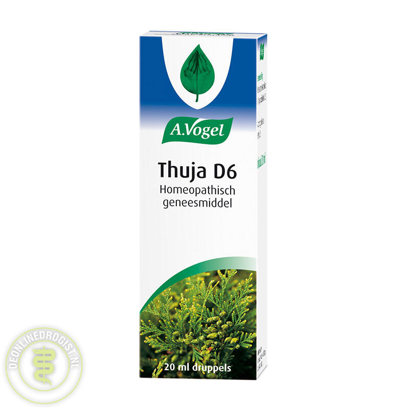 A Vogel Thuja - KibrisPDR