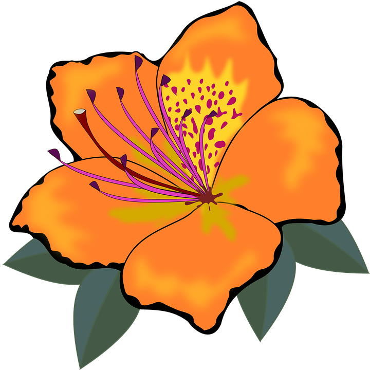 Detail Affe Mit Blume Nomer 16