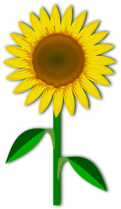 Detail Affe Mit Blume Nomer 17