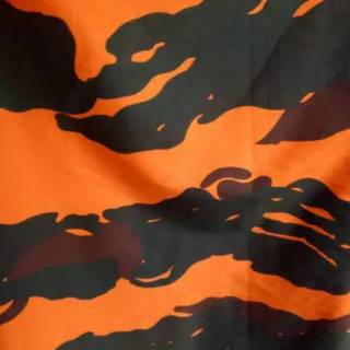 Detail Background Loreng Pp Nomer 29
