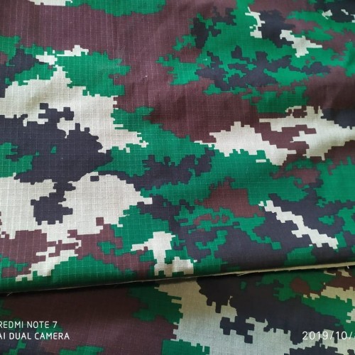 Detail Background Loreng Raider Nomer 15
