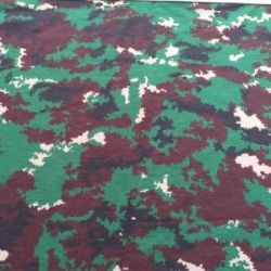 Detail Background Loreng Raider Nomer 19