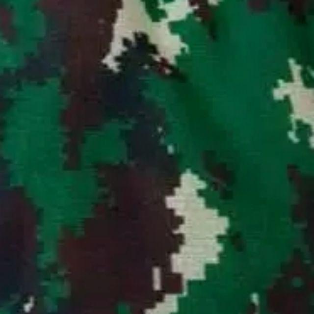 Detail Background Loreng Raider Nomer 29