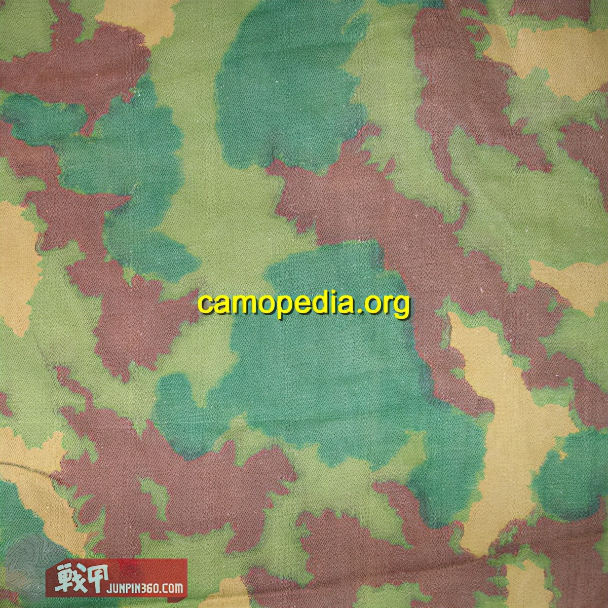 Detail Background Loreng Raider Nomer 44