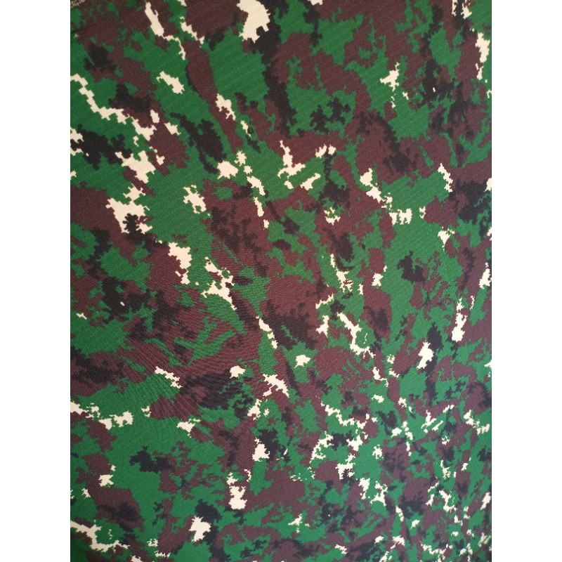 Detail Background Loreng Raider Nomer 47