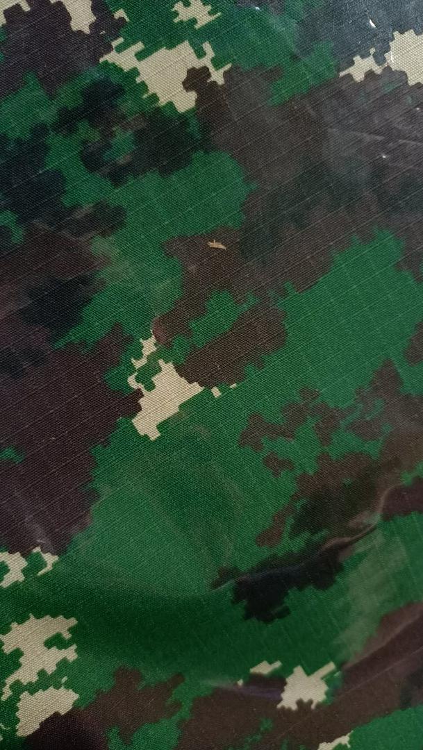 Detail Background Loreng Raider Nomer 48