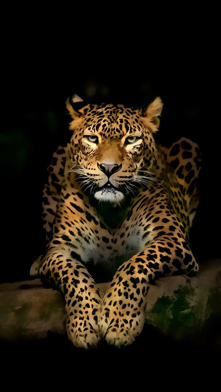 Detail Background Macan Nomer 16