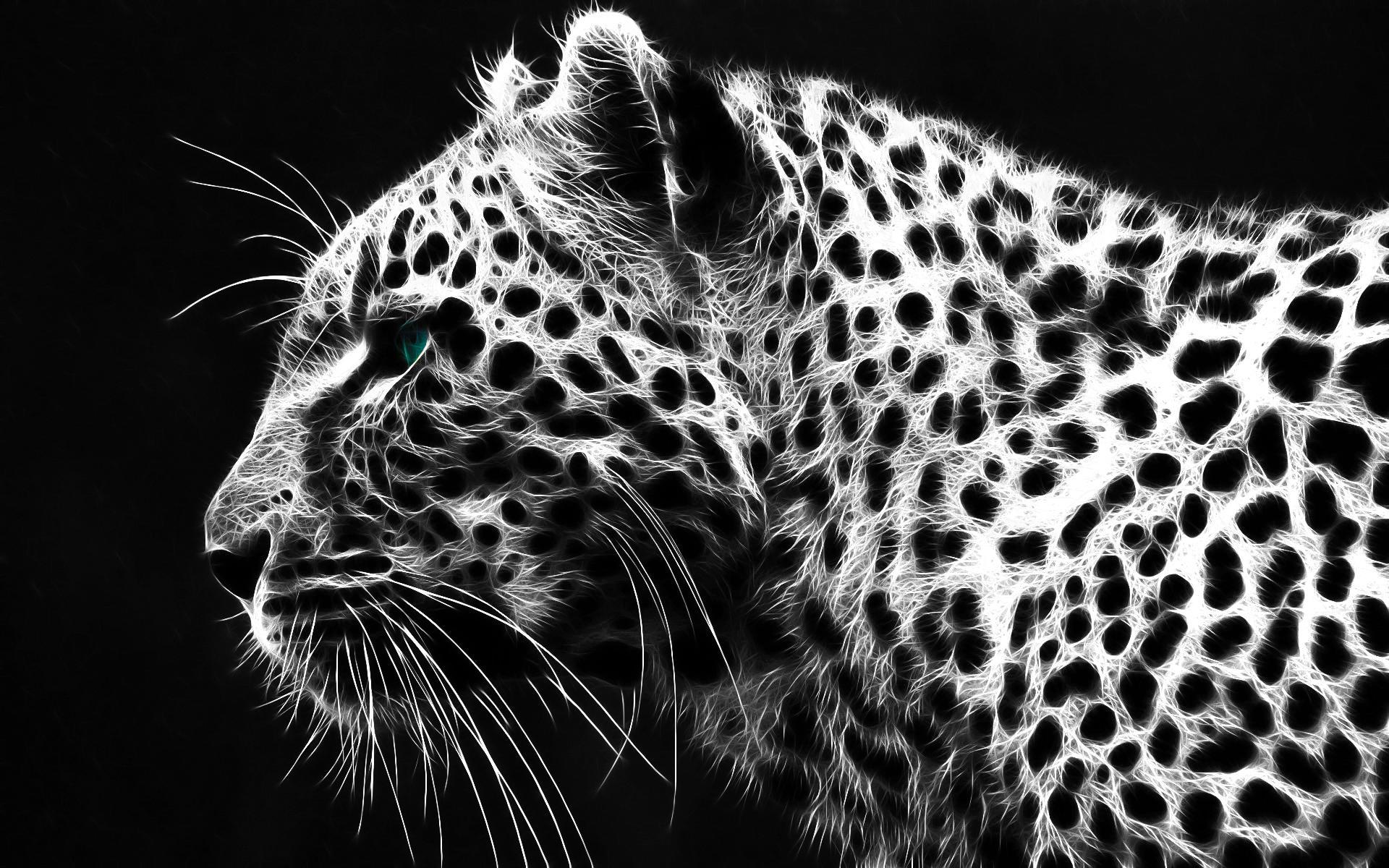 Detail Background Macan Nomer 22