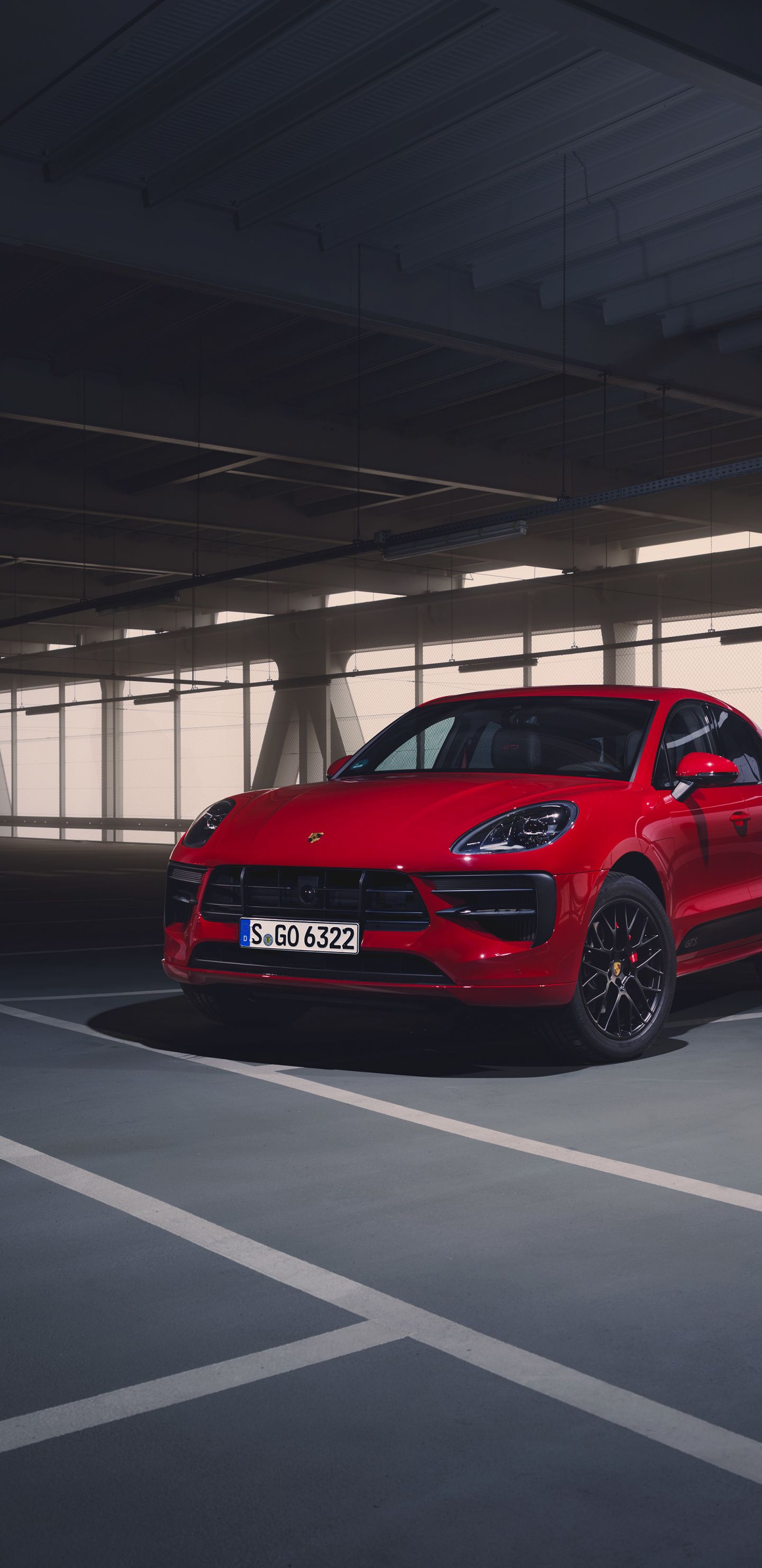Detail Background Macan Nomer 29