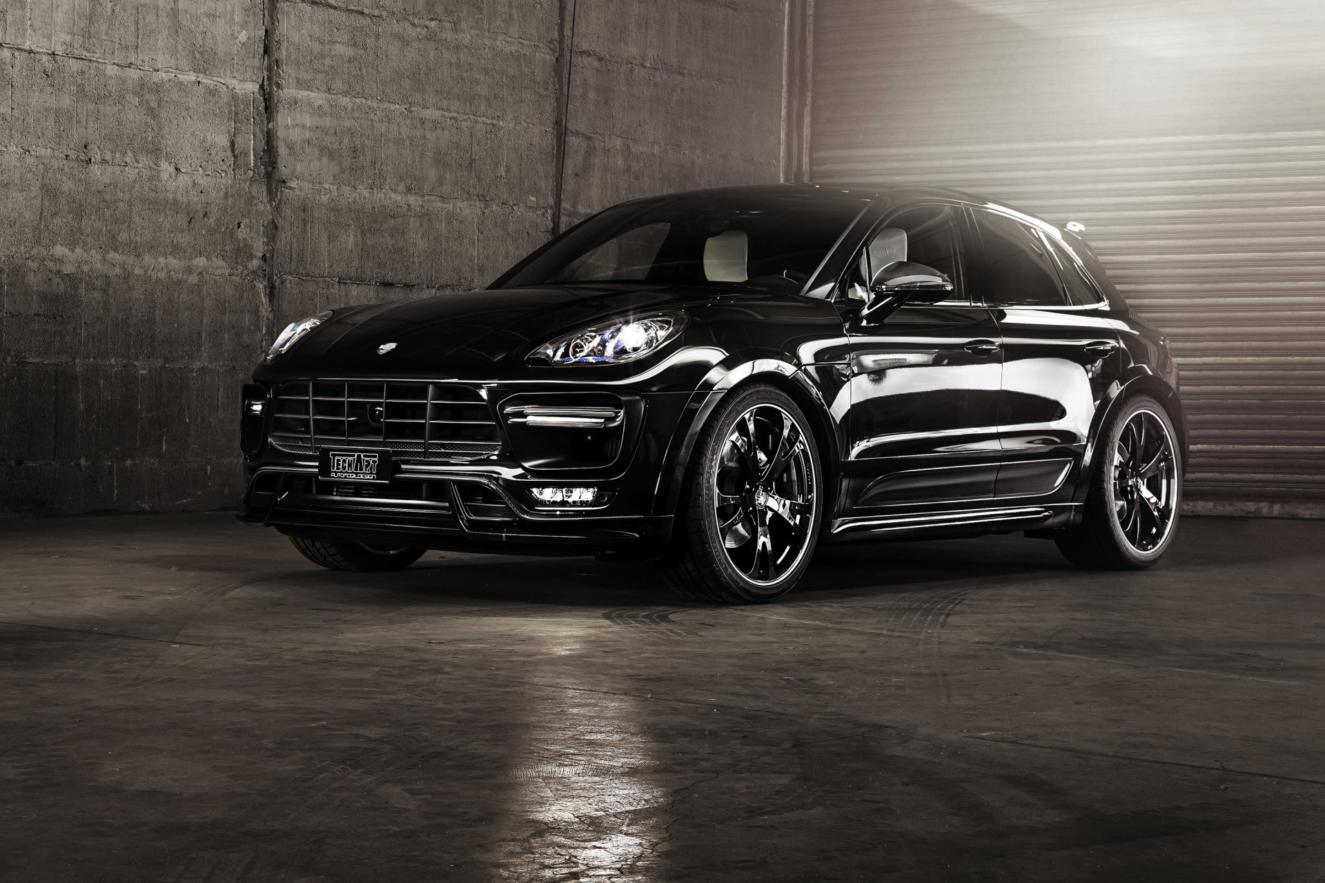 Detail Background Macan Nomer 30