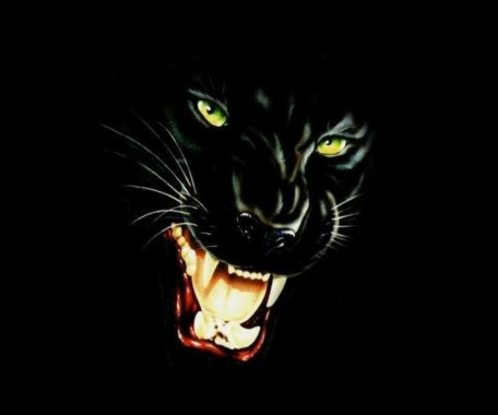 Detail Background Macan Nomer 31