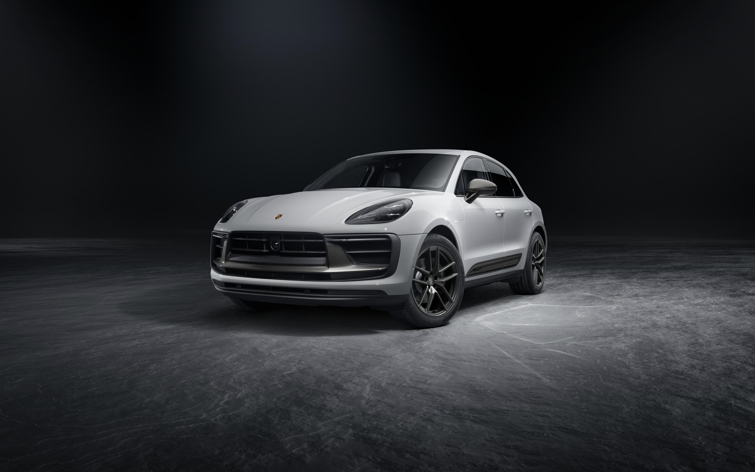 Detail Background Macan Nomer 33