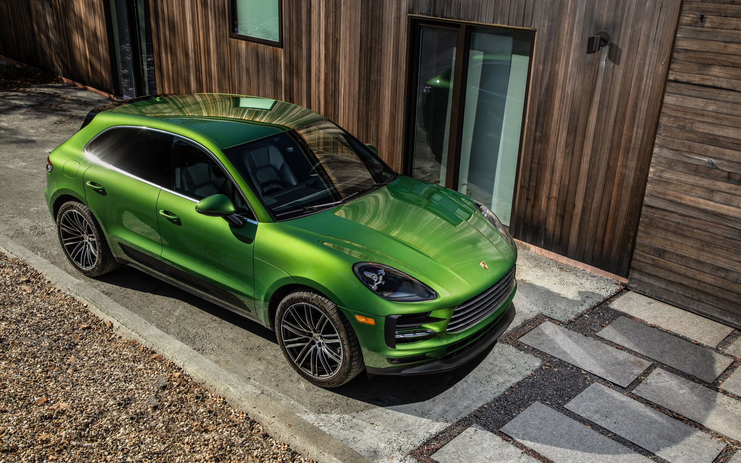 Detail Background Macan Nomer 35