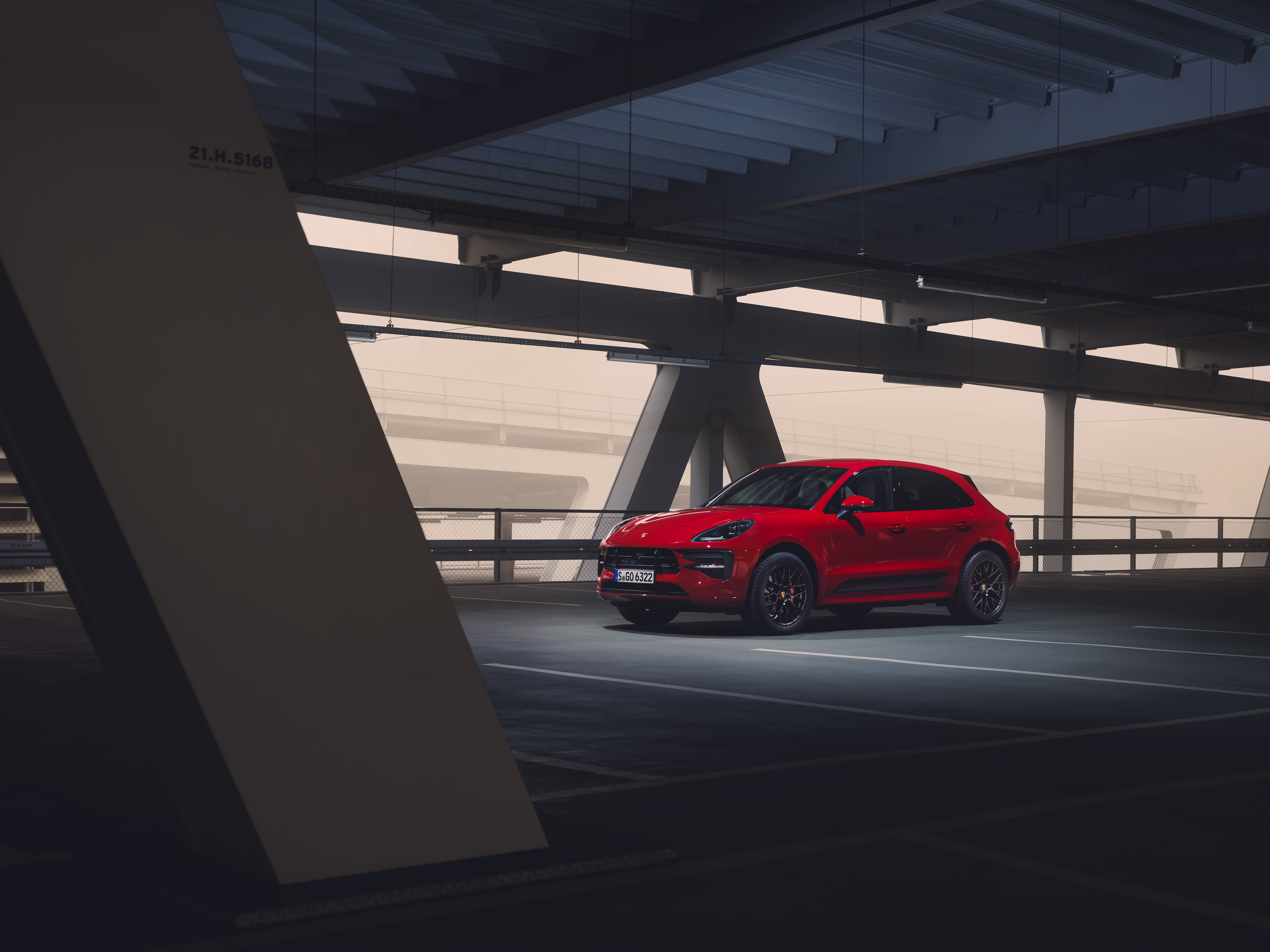 Detail Background Macan Nomer 38
