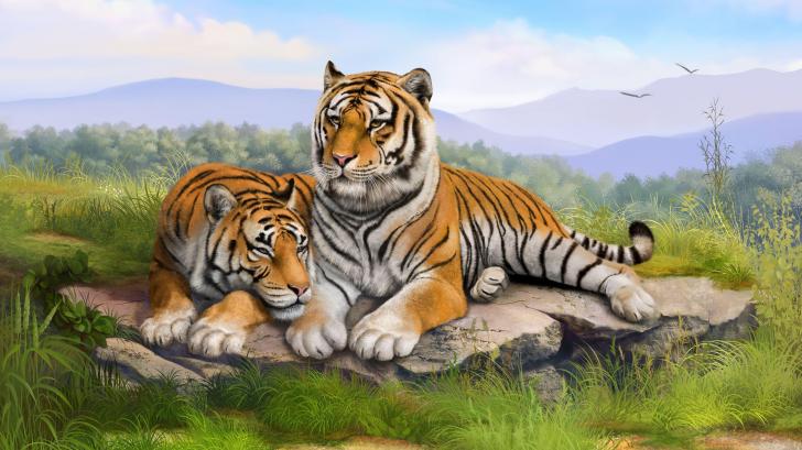 Detail Background Macan Nomer 39